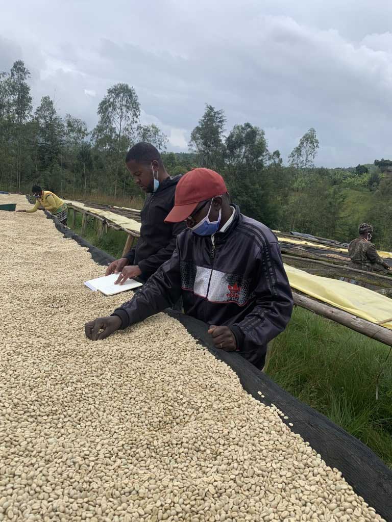 Rwanda Muyongwe Nespresso kompatibilis kapszula