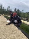 Rwanda Muyongwe Nespresso kompatibilis kapszula