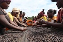 ETIOPIA Yirgacheffe Idido specialty szemes kávé