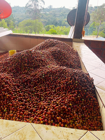 Colombia San Gabriel- Washed specialty szemes kávé