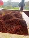 Colombia San Gabriel- Washed specialty szemes kávé