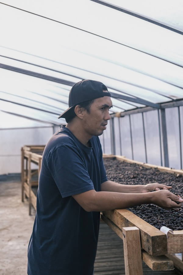 Sumatra specialty szemes kávé  (másolat)