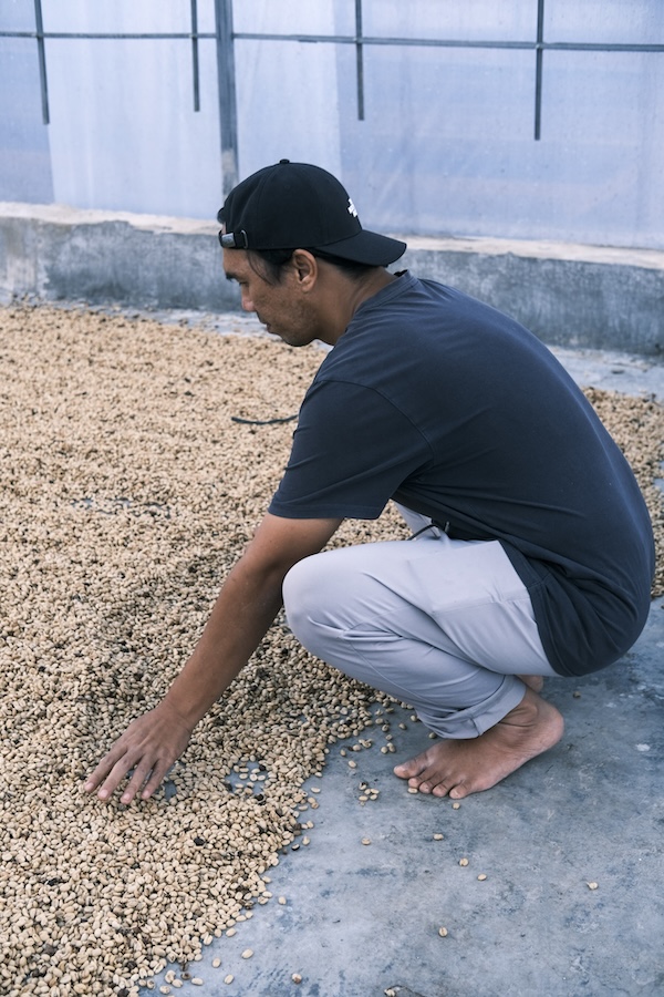 Sumatra specialty szemes kávé  (másolat)