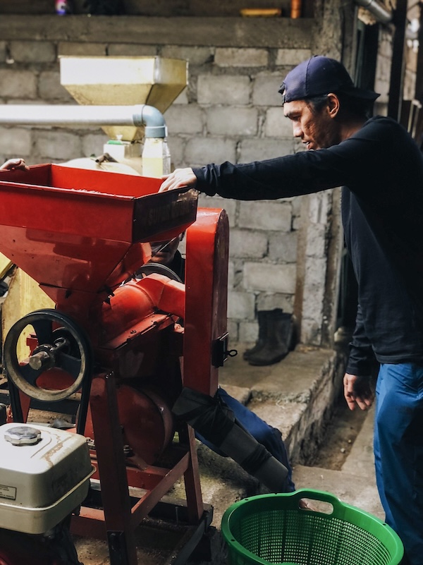 Sumatra specialty szemes kávé  (másolat)