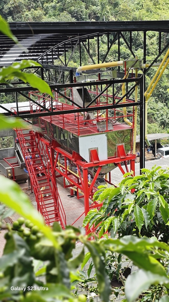 COLOMBIA La Reserva specialty szemes kávé