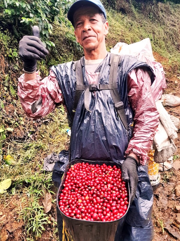 COLOMBIA La Reserva specialty szemes kávé