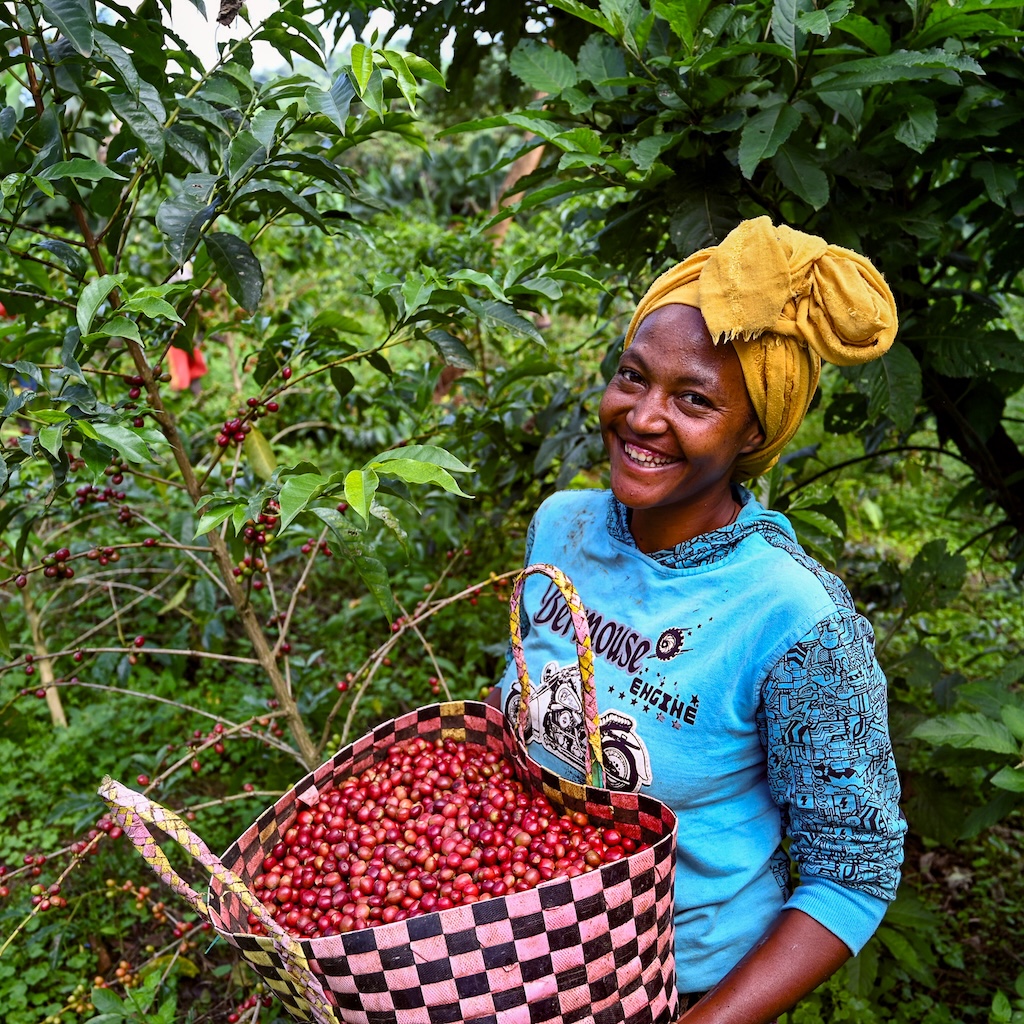 ETHIOPIA Gesha specialty szemes kávé 