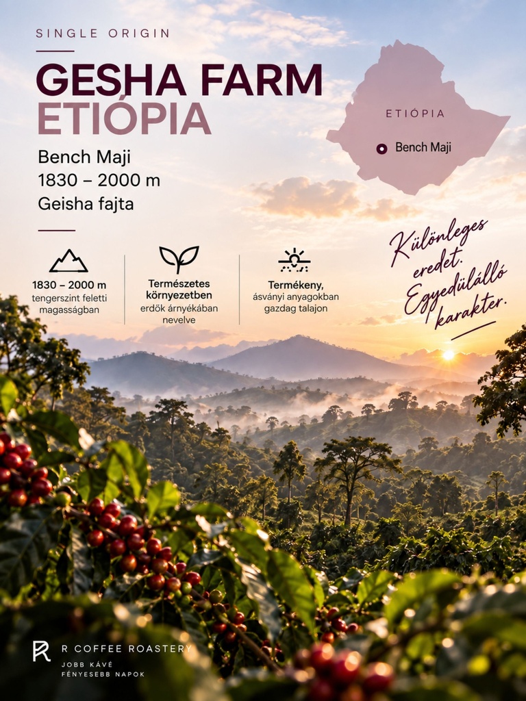 ETHIOPIA Geisha specialty szemes kávé 