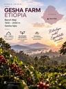 ETHIOPIA Geisha specialty szemes kávé 