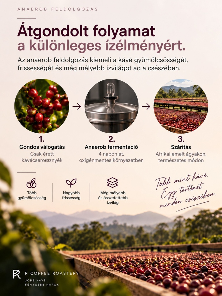 ETHIOPIA Geisha specialty szemes kávé 