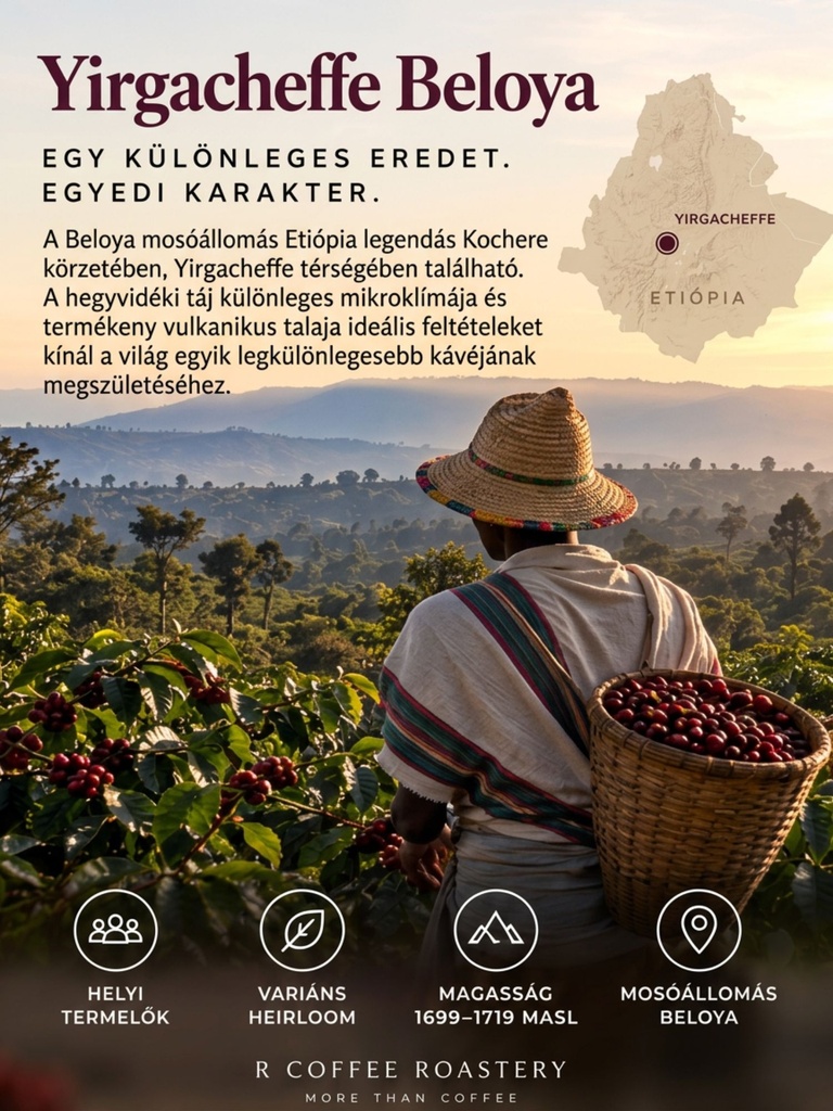 Etióp Beloya Carbonic Maceration Nespresso kompatibilis kapszula